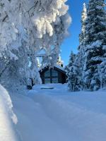 Mountain Cottage For Year-Round Outdoor Activities - B&B Vevle