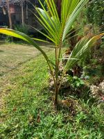 Paje Haven - Chambres d’hôtes Paje