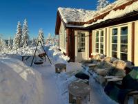 Newly Built Cabin At Skutuset At Golsfjellet - Ferienwohnung Gol