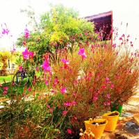 Nar Bağevi - Ferienwohnung Bozcaada