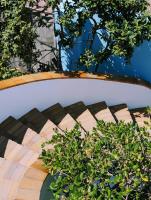 House Zandvlei - The Bird room - B&B Muizenberg