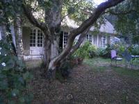 Le clos des mûriers - B&B