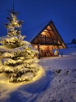 Szałas - B&B Bustryk