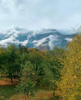 Tweepersoonskamer met 1 of 2 Bedden en Uitzicht op de Bergen