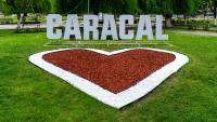 Ultracentral Biblioteca - B&B Caracal