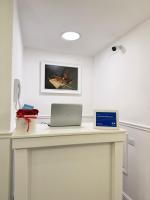 La Canzonetta Affittacamere - B&B Napoli