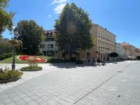 Tamás Apartman - Panorámás, tágas lakás a történelmi belvárosban kilátással a Virágórára - Chambres d'hôtes Székesfehérvár