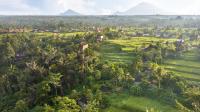 Nau Villa Ubud - B&B Tegalalang