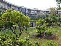 Residence Les Palmiers - B&B