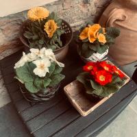 Oasi di pace - B&B Romano Canavese