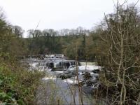 Bumblebee Cottage, Aysgarth Falls - B&B Aysgarth