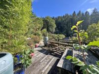 The lodge - Bed and Breakfast Bodmin