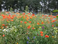 The Barn, Wolds Way Holiday Cottages, 2 bed ground floor - B&B Cottingham
