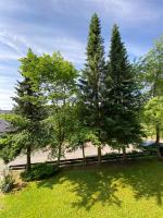 Chalet-Apartment Waldfrieden, in ruhiger Lage mit TG - Ferienwohnung Hahnenklee-Bockswiese