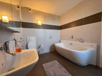 Big Flat - Direct CERN - B&B Saint-Genis-Pouilly