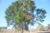 Casa en el árbol