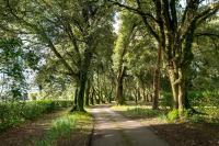 Tree Barn - Bed and Breakfast Saltash