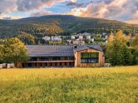 Rezidence Alpina - Ski In Ski Out - Apartmán 27 - Chambres d’hôtes Špindlerův Mlýn