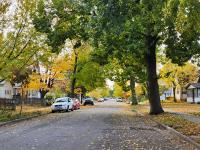 The Nokomis Retreat - B&B Minneapolis