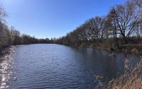 Seeblick Apartment Duisburg am Blauen See - 15 Min zur Messe Düsseldorf - B&B Duisburg