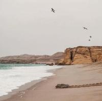 Seeing Turtles At Ras al jinz Hospitality - Ferienwohnung Junayz al Janūbī
