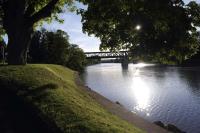 Bel F2 Nogent Gare sur place - B&B Nogent-l'Artaud