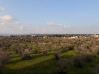 Art & Relax House - B&B Gallipoli