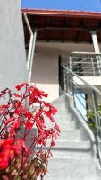 Grandmother's House - B&B Agios Petros