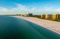 NEW Palm Tree Paradise -Close To The Beach! Beautiful Heated Pool! - B&B Naples