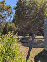 Swallows Nest - Scenic Nature Retreat near Beach - B&B Cape Bridgewater