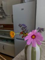 Apartmá se zahrádkou - Chambres d'hôtes Libkov