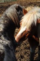 Habitación Doble con baño privado