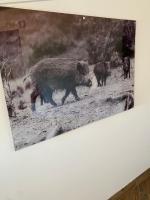 Appartement Familial 2 Chambres 