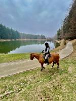Alba di Montanaria camere e appartamento a Brosso - Bed and Breakfast Brosso