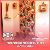 Le studio Naturel - Ferienwohnung Hénin-Beaumont