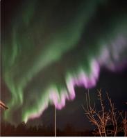 Takelvdal - Chambres d’hôtes Bjørkli