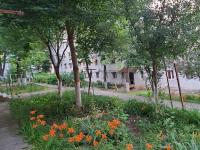 Dani Cute - B&B Vaslui