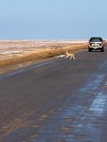 House Stillmar - B&B Walvis Bay