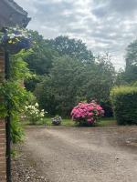 The Bird Loft Studio - B&B Horsted Keynes