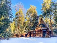 Wildland Zen Den Tiny House Retreat with Fireplace Grill AC Hammock Record Player Musical Instruments Pets OK - Bed and Breakfast Idyllwild