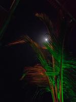 Chambre Double Deluxe avec Balcon - Vue sur Mer