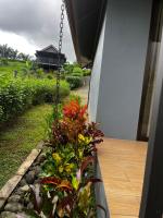 Casitas Naranjito - B&B Naranjito
