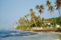 Coco Inn Polhena - B&B Matara