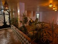 Riad Xula Boutique Hotel - B&B Puerto Peñasco