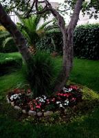 Apartment Rusulica - B&B Pirovac