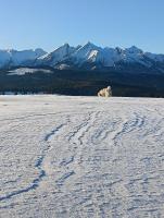 Chambre Triple – Vue sur Montagne