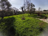 L'authentique - maison chic avec piscine - rouge - Bed and Breakfast Saint-Sigismond