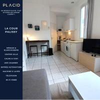 La Cour Palissy - T2 - Wifi - TV - B&B Tours