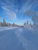 MarrasVilla - B&B Marrasjärvi