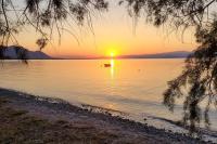 Beachfront cottage house in olive grove - Ferienwohnung Arkítsa